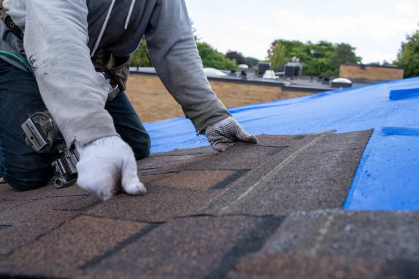 Best Residential Roofing Contractor  in New Richmond, WI