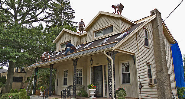 Best Roof Maintenance Services  in New Richmond, WI