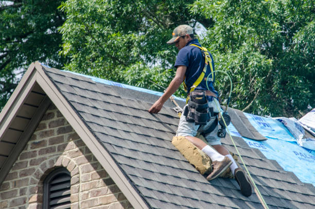 Best Roof Waterproofing Services  in New Richmond, WI